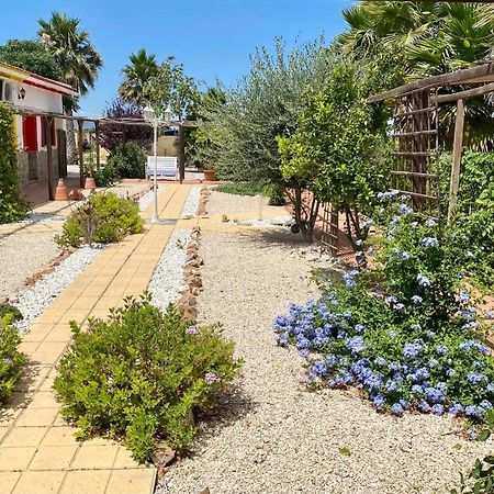 B&B Casa Azul Crevillent Kültér fotó